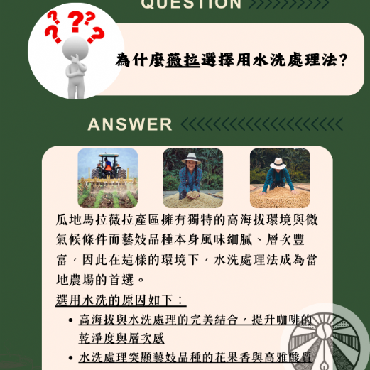 哥倫比亞 薇拉